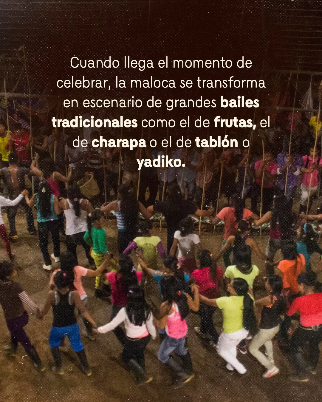 Fotografía de personas en una maloca y el texto: Cuando llega el momento de celebrar, la maloca se transforma en escenario de grandes bailes tradicionales como el de frutas, el de charapa o el de tablón o yadiko