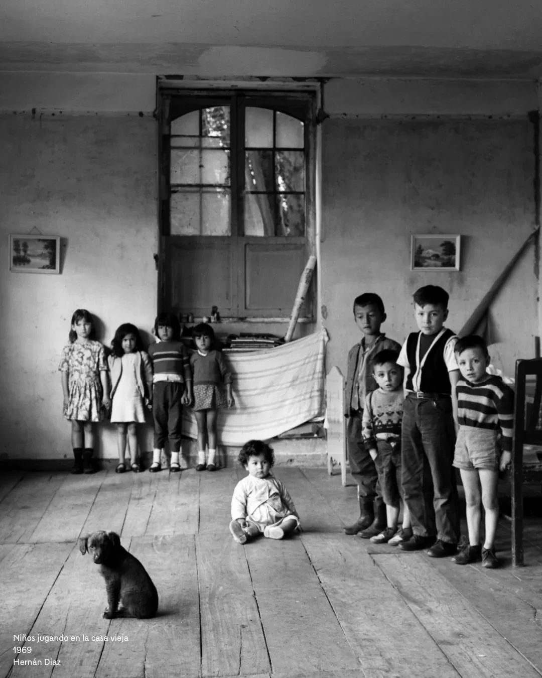 Foto a blanco y negro de unos niños junto a un cachorro 