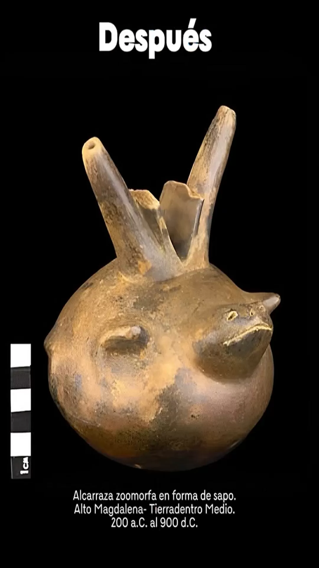 Alcarraza zoomorfa en forma de sapo. 200 a. C. al 900 d. C.