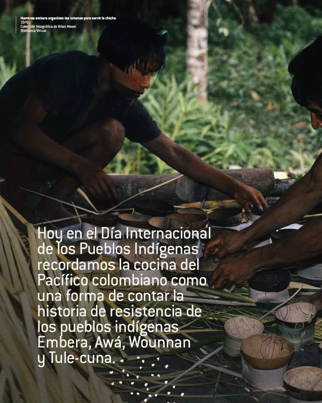 Hoy en el Día Internacional de los Pueblos Indígenas recordamos la cocina del Pacífico colombiano como una forma de contar la historia desde la resistencia de los pueblos indígenas Embera, Awá, Wounnan y Tule-cuna.