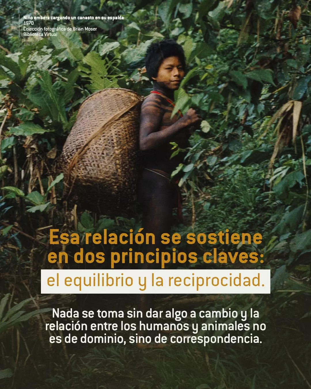 Esa relación se sostiene en dos principios claves: El equilibrio y la reciprocidad.