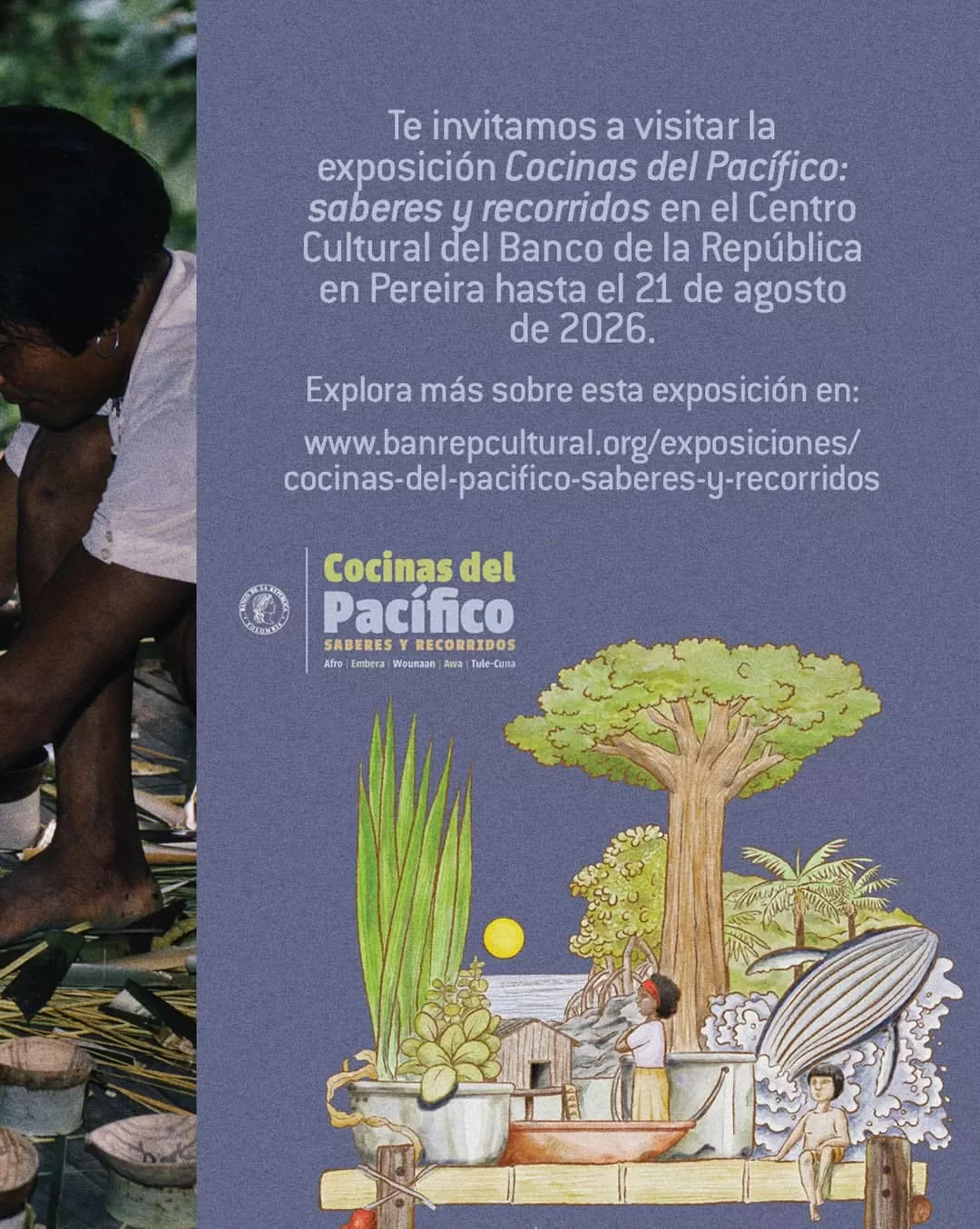Te invitamos a visitar la exposición Cocinas del Pacífico: saberes y recorridos.