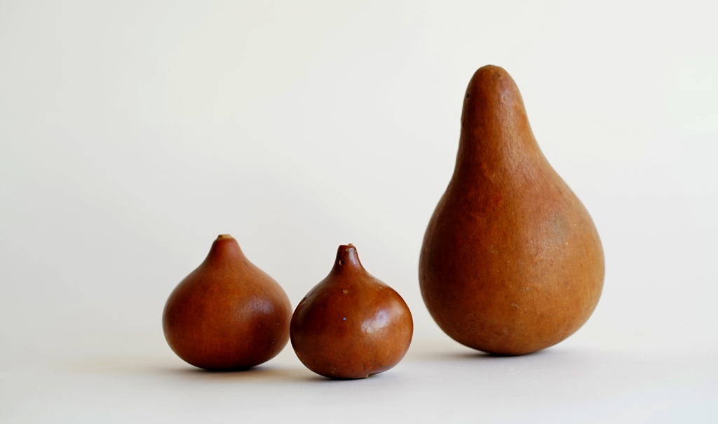 Recipientes hechos de calabazo (Lagenaria siceraria).