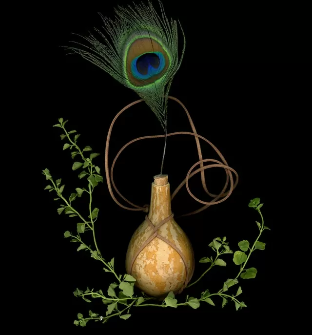 Composición artística de plantas con una pluma de pavo real 