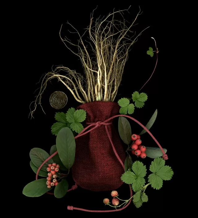 Plantas alrededor de una bolsa de terciopelo, haciendo alusión a un conjuro de amor 