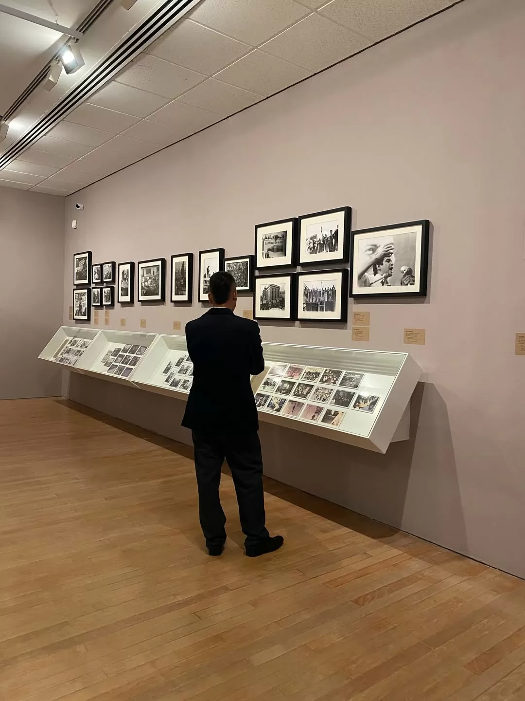 Visitante de la exposición Digna Rabia