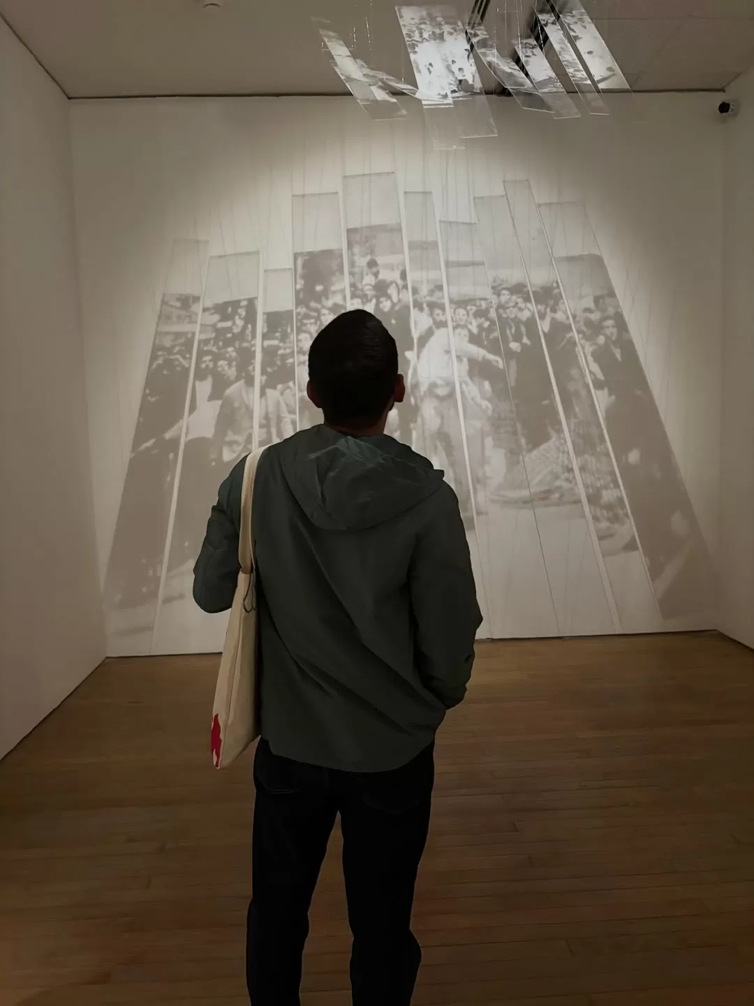 Visitante de la exposición Digna Rabia