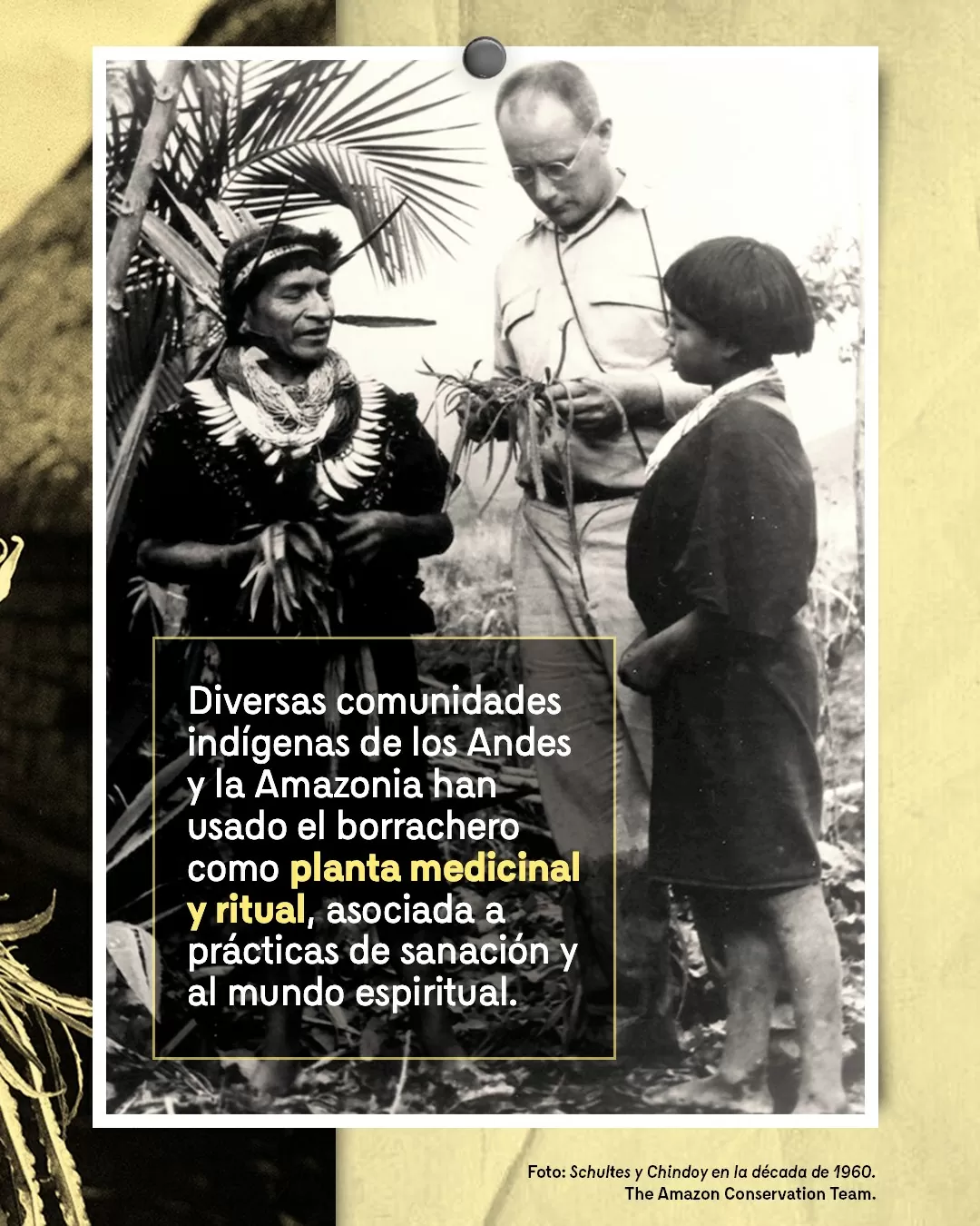 Fotografía de Schultes y Chindoy