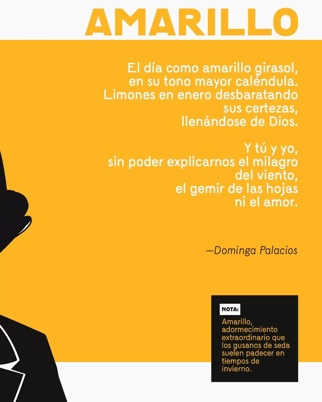 Poema de Dominga Palacios en fondo amarillo y letras blancas
