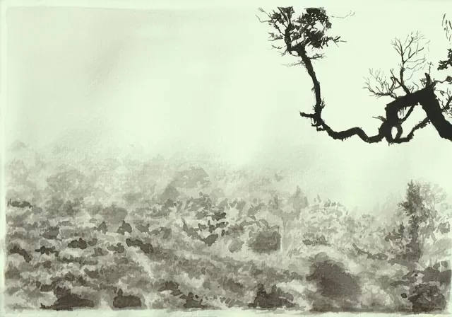 Silueta de árboles en acuarela negra y fondo amarillo claro