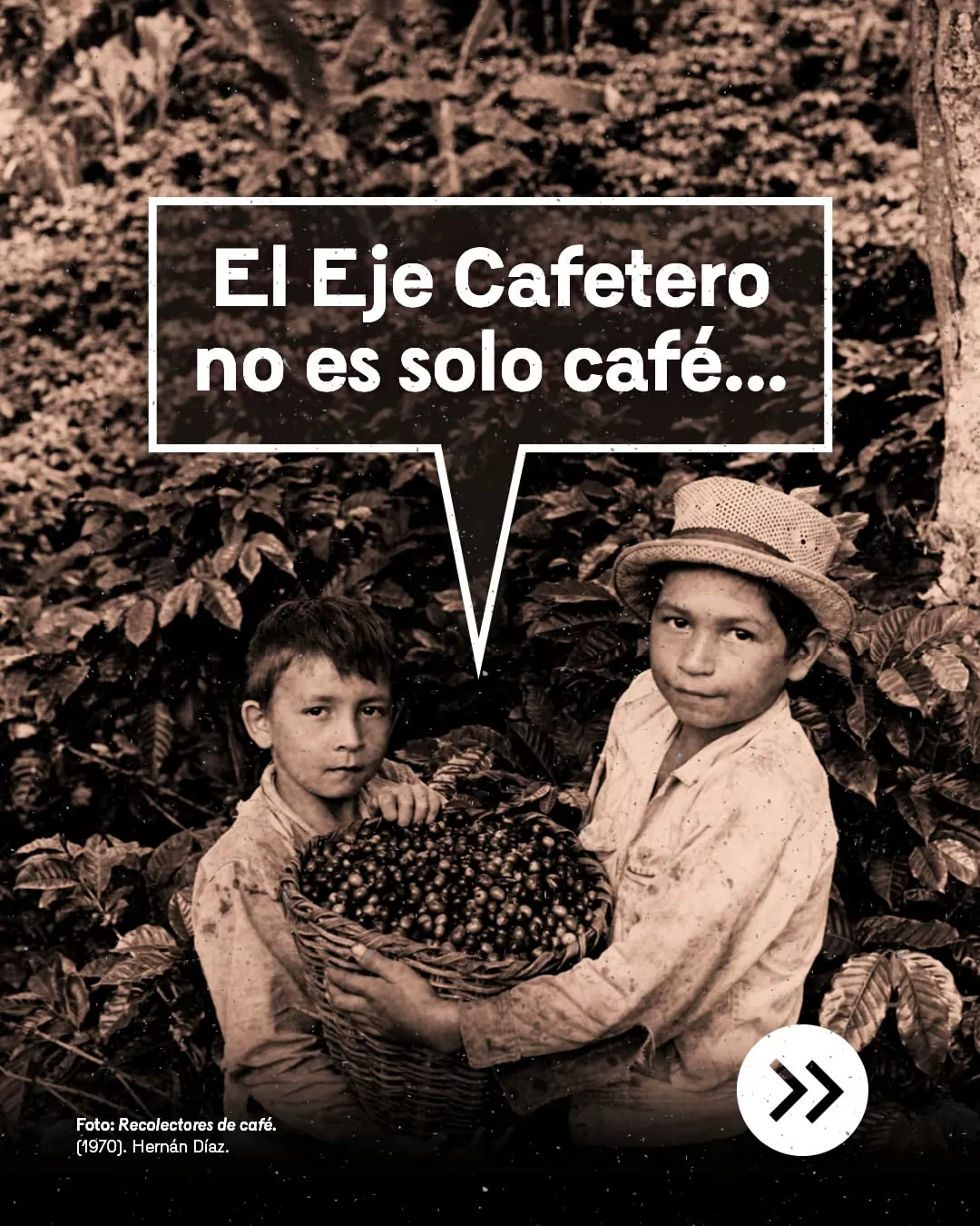 Recolectores de café, Hernan Díaz (1970)