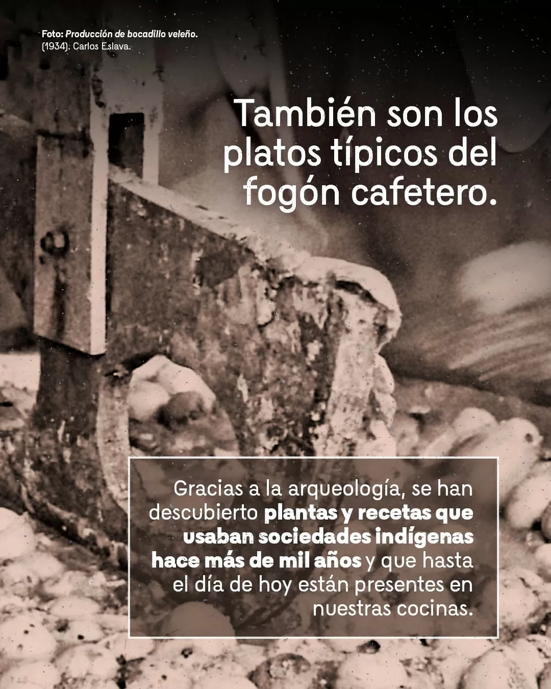 Producción de bocadillo veleño, Carlos Eslava (1934)