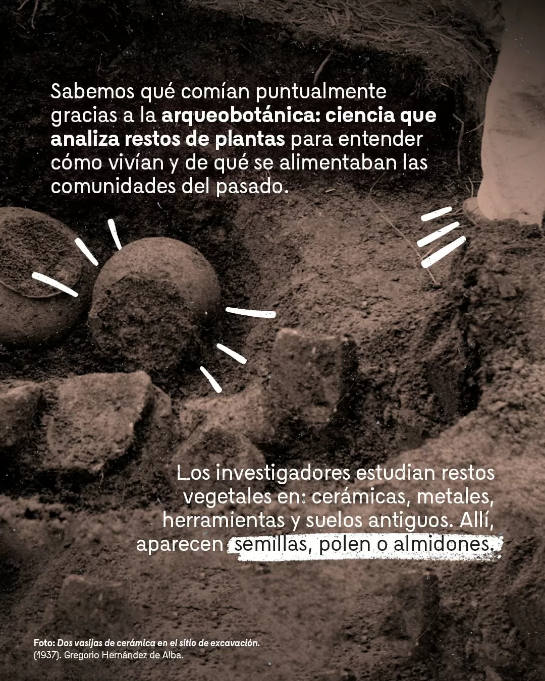 Dos vasijas de cerámica en el sitio de excavación, Gregorio Hernández de Alba (1937) 