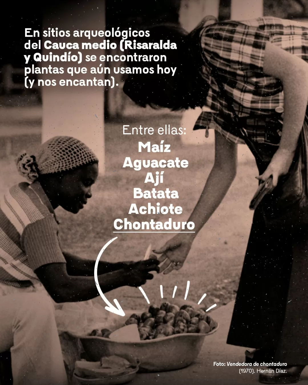 Vendedora de chontaduro, Hernán Díaz (1970)