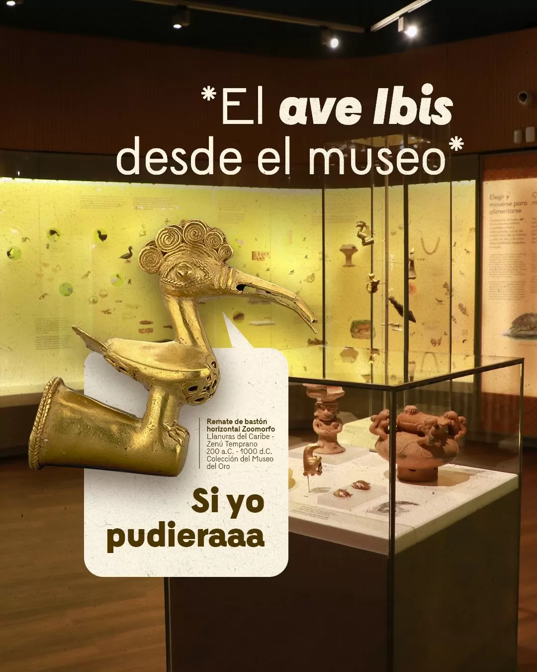 Imagen de remate de bastón horizontal zoomorfo y el texto: El ave Ibis desde el museo 