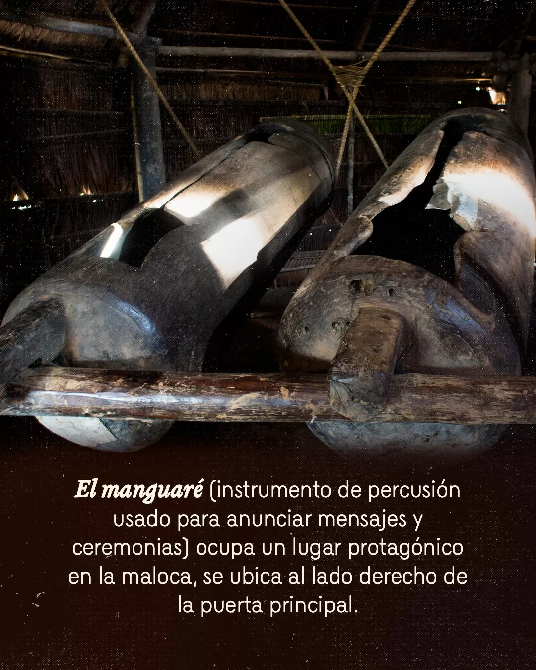 Fotografía de personas en una maloca y el texto: El manguaré (instrumento de percusión usado para anunciar mensajes y ceremonias) ocupa un lugar protagónico en la maloca, se ubica al lado derecho de la puerta principal