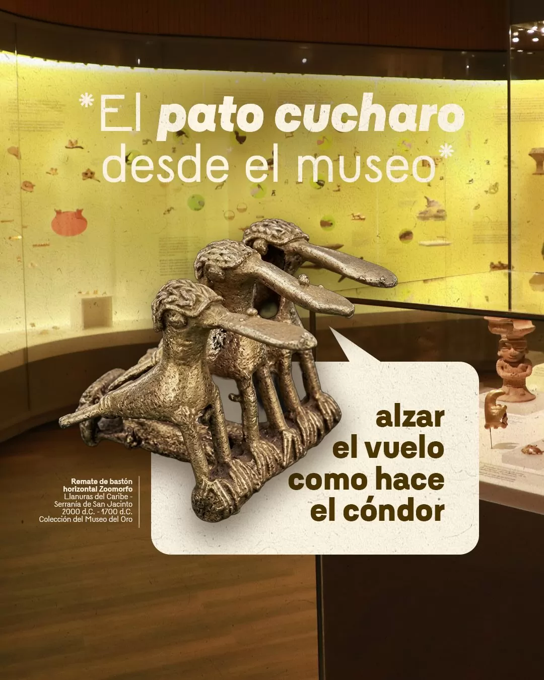 Imagen de remate de bastón horizontal zoomorfo y el texto: El pato cucharo desde el museo 