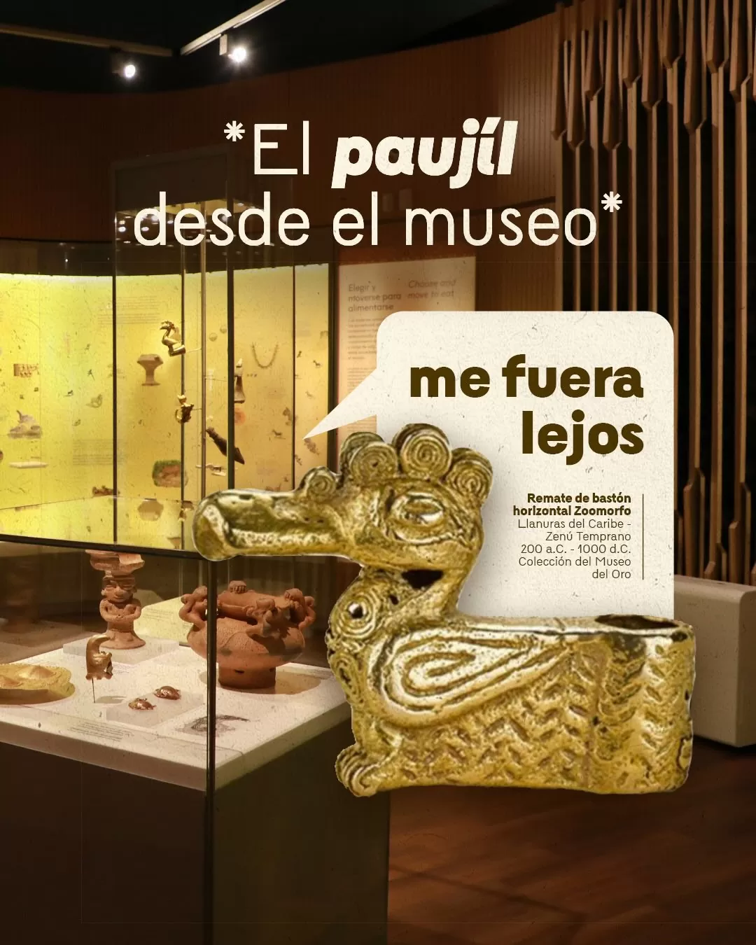 Imagen de remate de bastón horizontal zoomorfo el texto: El paujíl desde el museo 