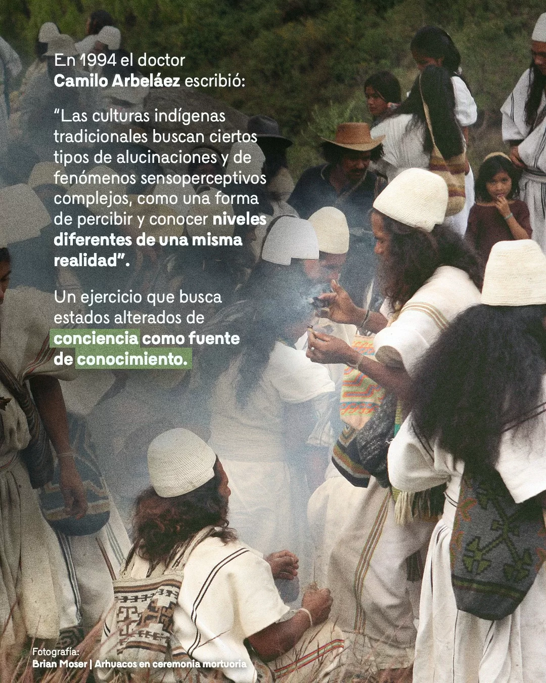 Arhuacos en ceremonia mortuoria y el texto: En 1994 el doctor Camilo Arbeláez escribió: "Las culturas indígenas tradicionales buscan ciertos tipos de alucinaciones y de fenómenos sensoperceptivos complejos, como una forma de percibir y conocer niveles diferentes de una misma realidad"