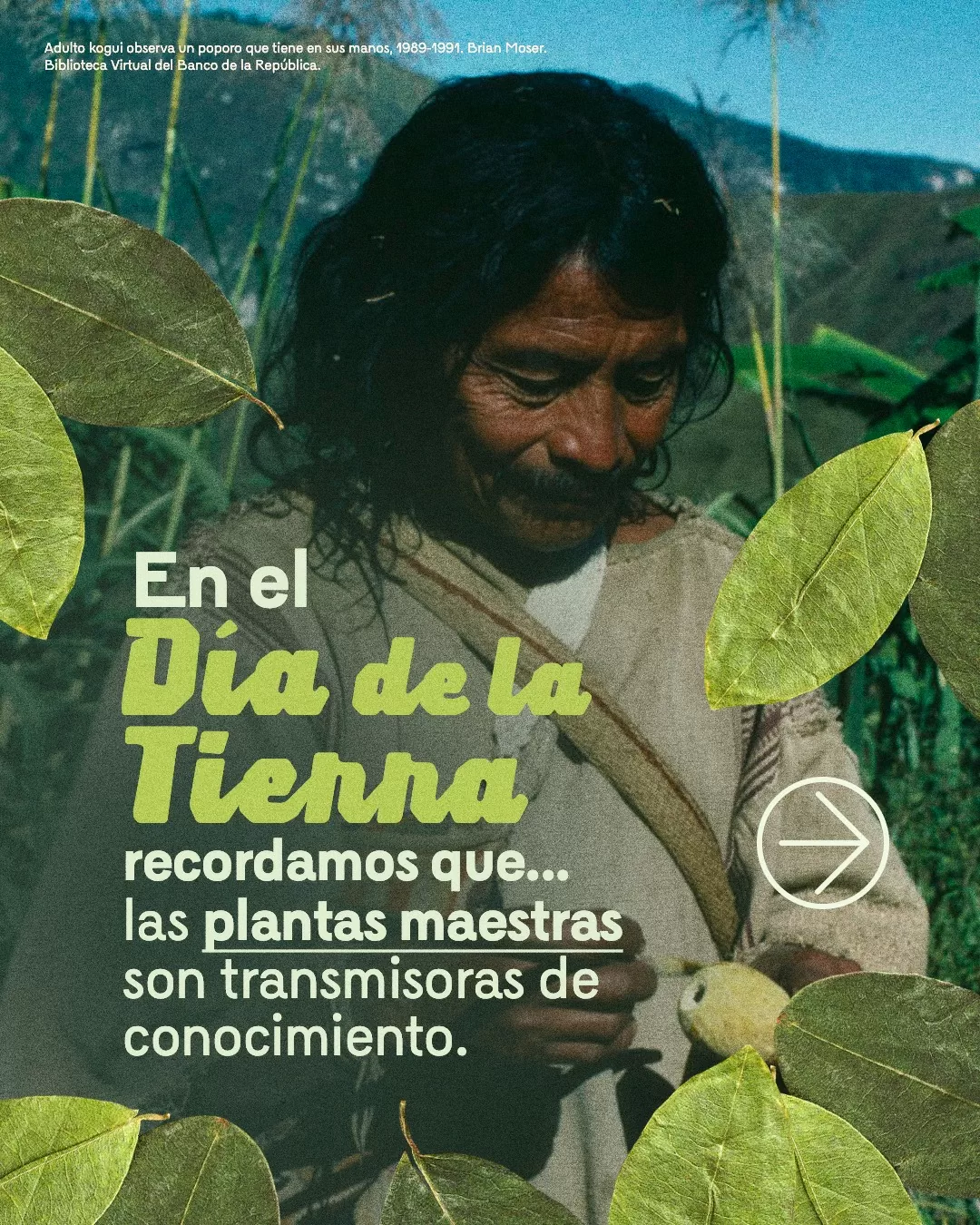 Fotografía de indígena kogui con el texto: En el Día de la Tierra recordamos que... las plantas maestras son transmisoras de conocimiento