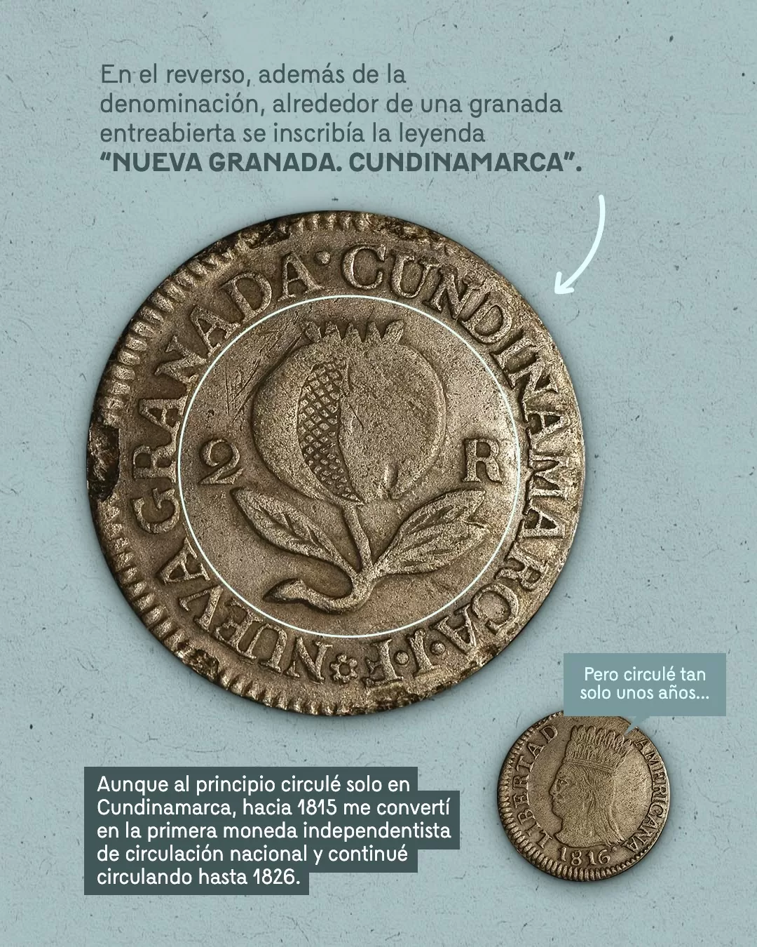 Imagen de moneda y el texto: En el reverso, además de la denominación, alrededor de una granada entreabierta se inscribía la leyenda "NUEVA GRANADA CUNDINAMARCA"