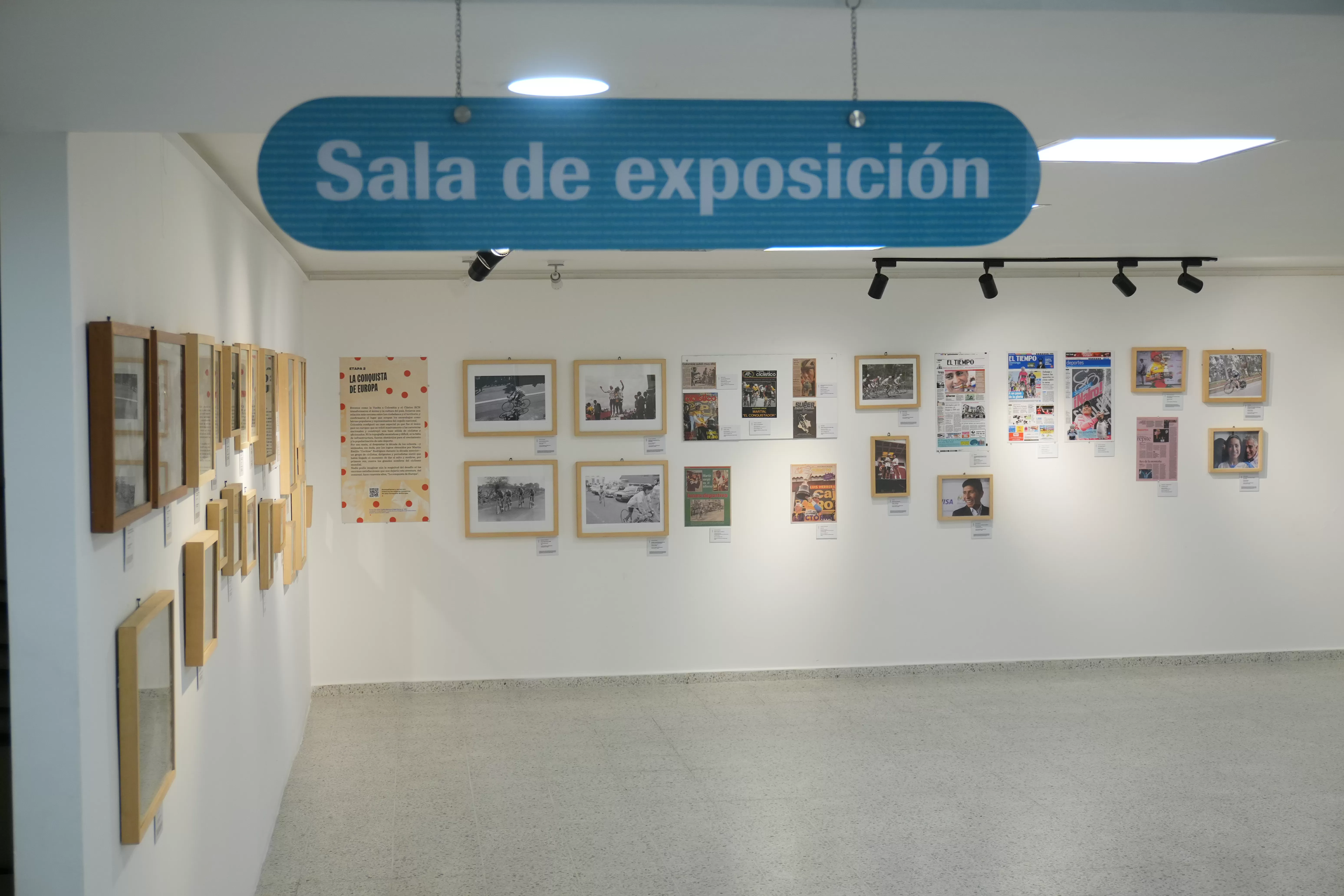 visita guiada escarabajos