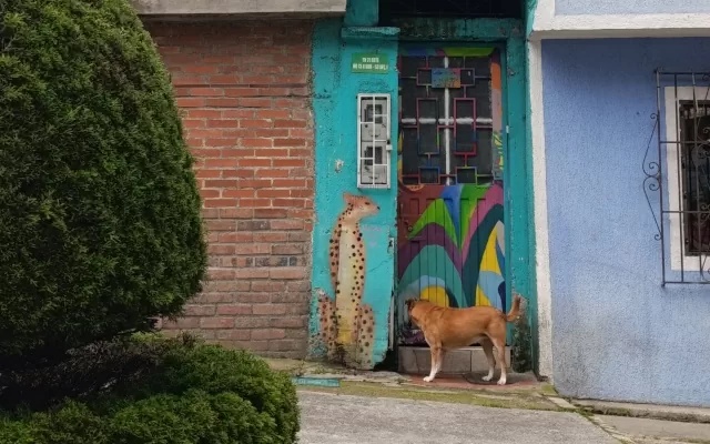 Estética barrio popular Hernando Carvajalino