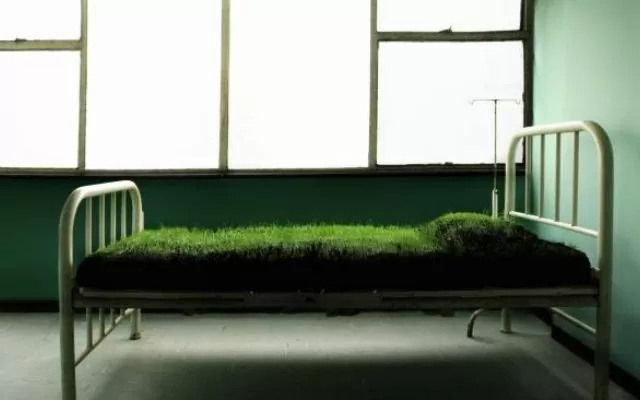 Fotografía de una cama de hospital cubierta por pasto