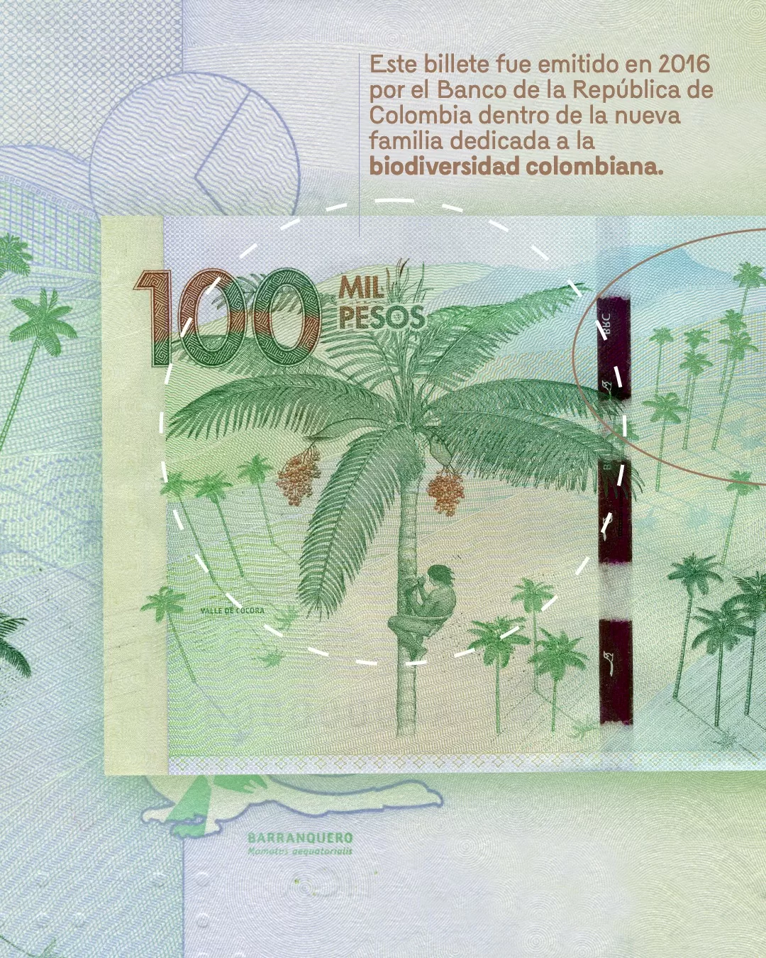 Reverso del billete de 100 mil y el texto: Este billete fue emitido en 2016 por el Banco de la República de Colombia dentro de la nueva familia de billetes dedicada a la biodiversidad colombiana