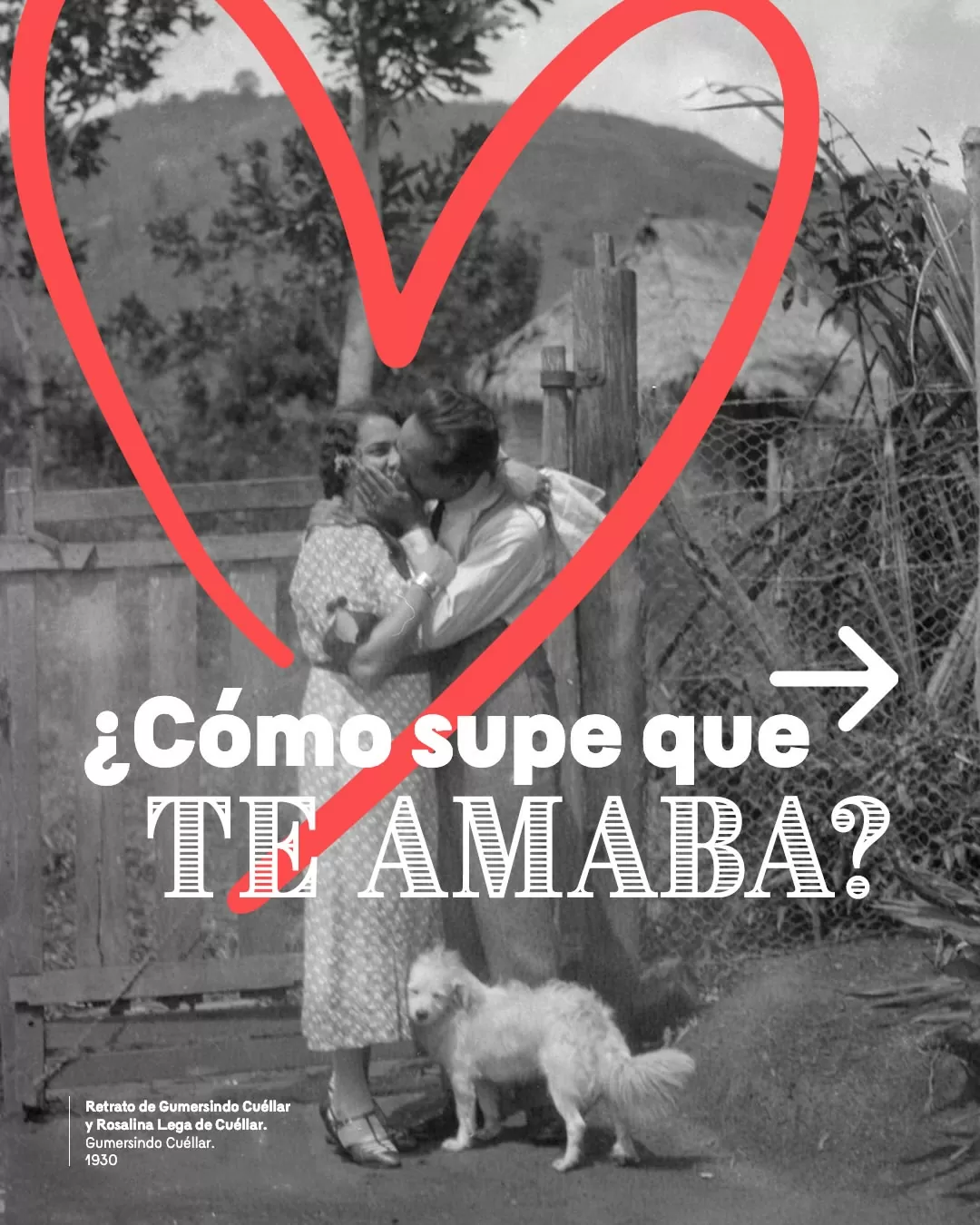 ¿Cómo supe que te amaba?