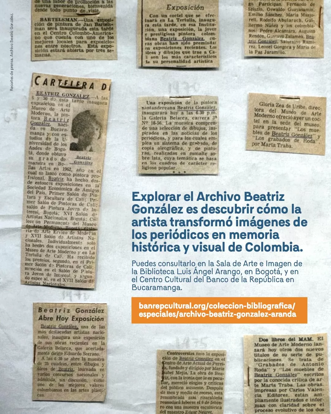 Imágenes de recortes de prensa y el texto: Explorar el Archivo Beatriz González es descubrir cómo la artista transformó imágenes de los periódicos en memoria histórica y visual de Colombia