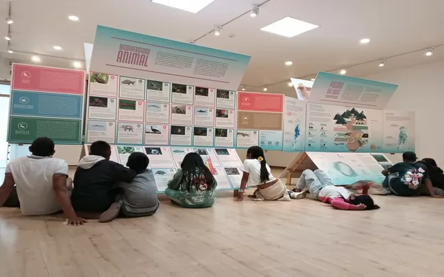 Exposición_Magdalena