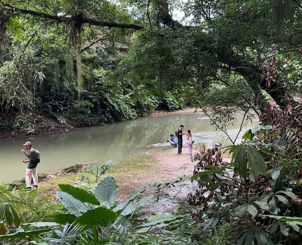 Grabación paisaje sonoro quebrada La perdiz
