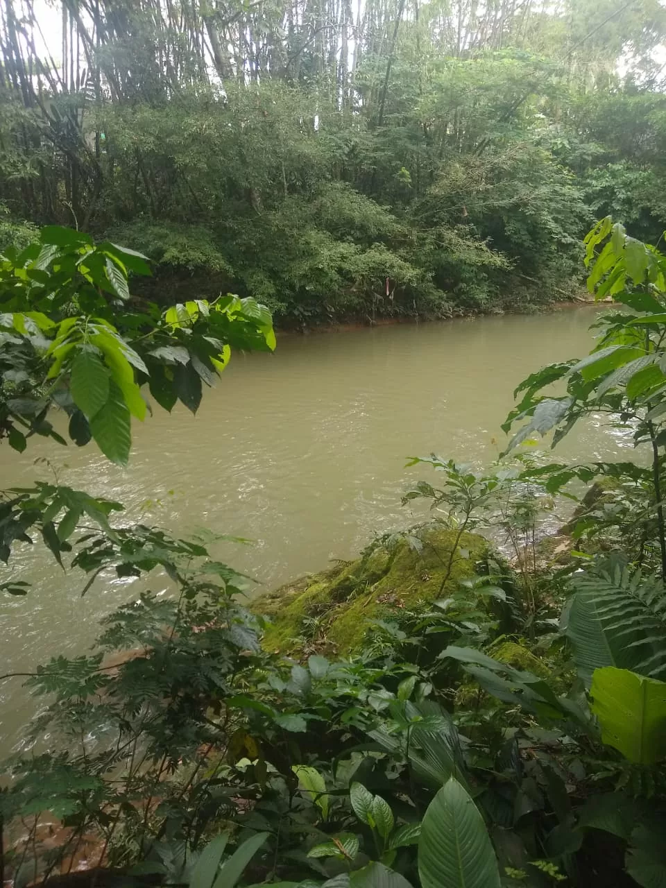 Vista de la Quebrada la Perdíz Florencia Caquetá