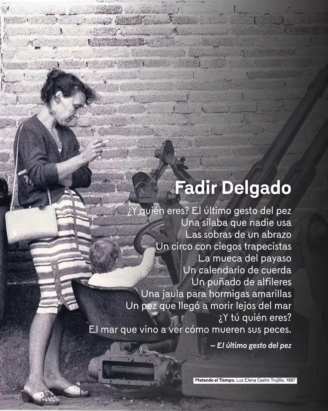 Matando el tiempo, por Luz Elena Castro