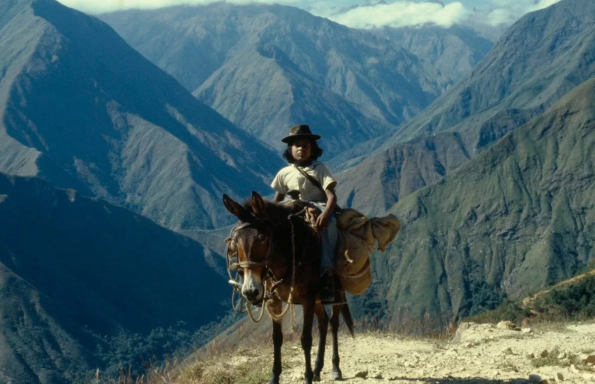 Archivo de Brian Moser