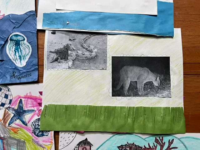 Trabajos realizados por los participantes del taller sobre el Parque Nacional Natural Tayrona