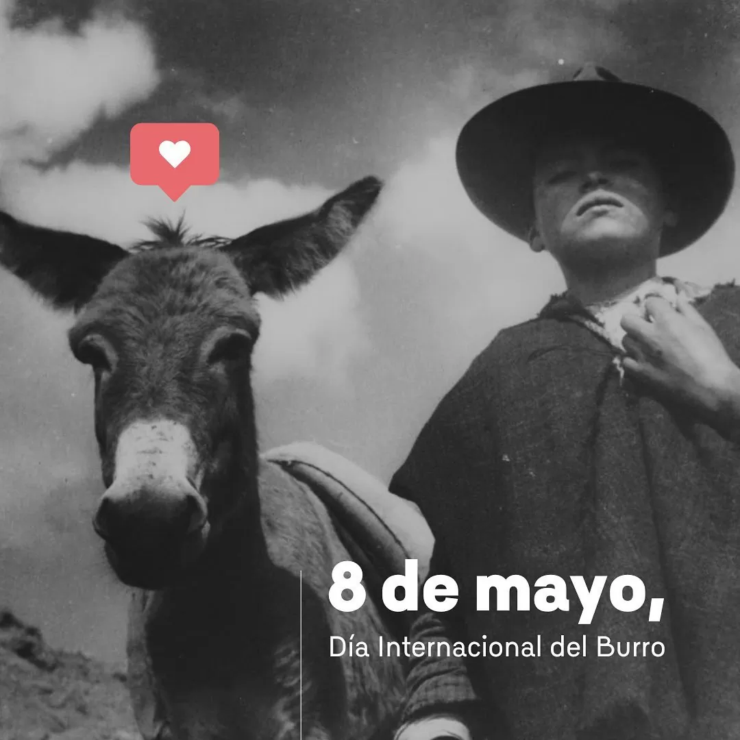 Fotografía de Gumersindo Cúellar y Luis Benito Ramos.
