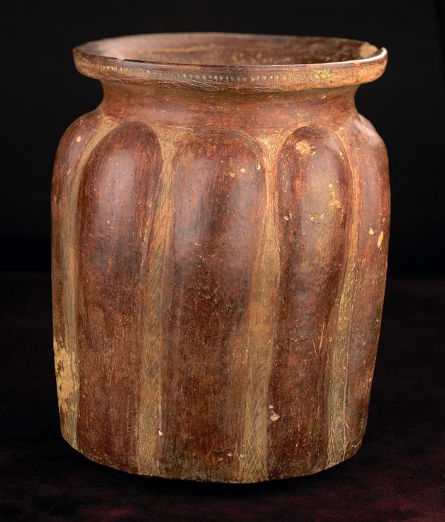 Cerámica con rasgos de planta