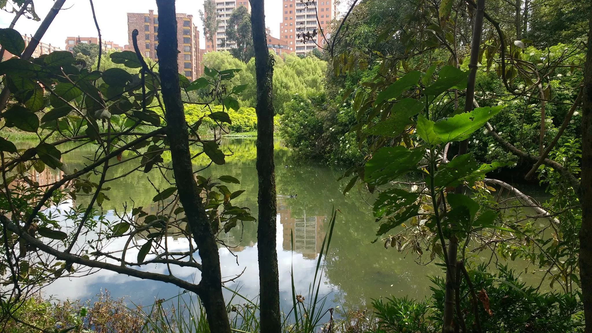 Fotografía del Humedal Córdoba