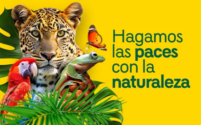 Como apoyo al proyecto cultural La Paz se toma la palabra 