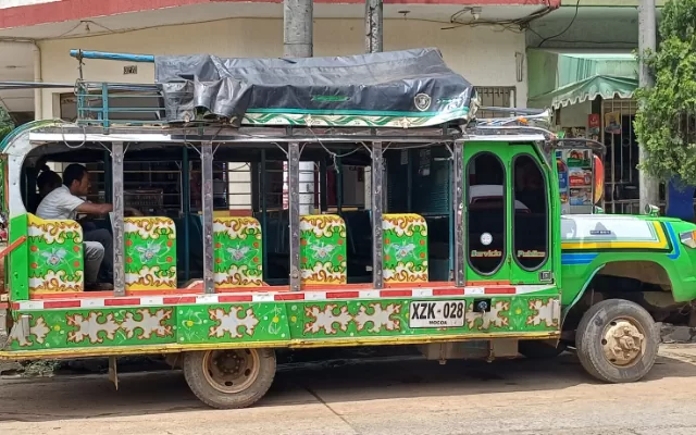 Foto de chiva verde 