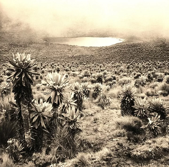 Fotografía de Richard Evans Schultes en el Páramo del Valle de Sibundoy en 1941