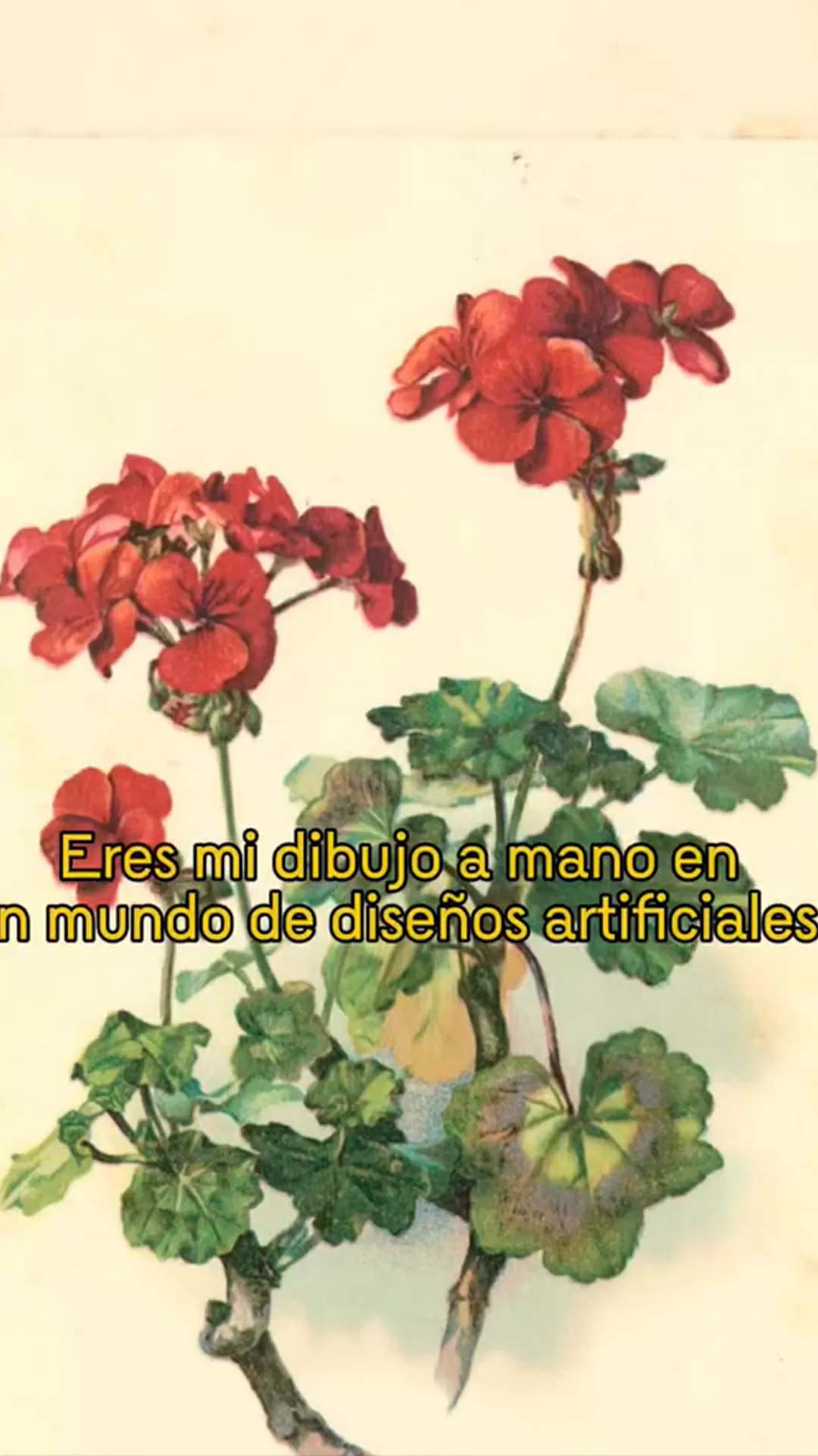 Dibujo de unas flores, parte de la libreta Geografía hecha a mano, del artista Santiago Cárdenas 