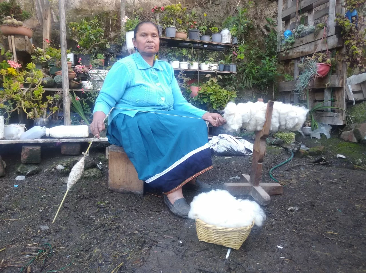 Hilandera Nariñense