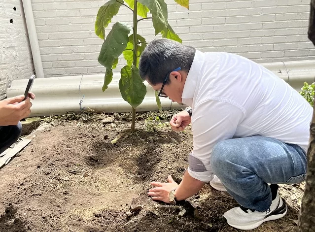 Hombre plantando en una huerta, proyecto Semillas.