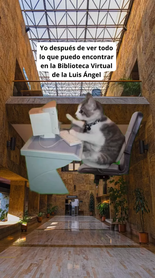 Biblioteca Virtual 