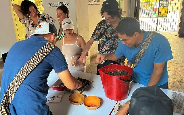 Grupo de niños y adultos sembrando semillas de cilantro y orégano 