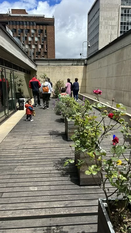 Huerta del Museo del Oro