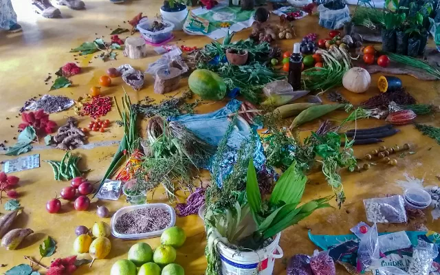 II Encuentro Amazónico de Semillas en Florencia, Caquetá.